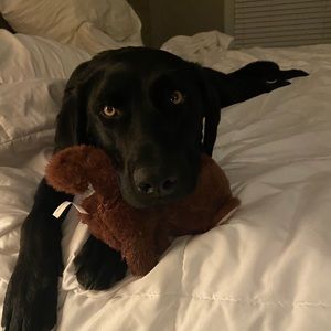 Meet your Posher, Heather